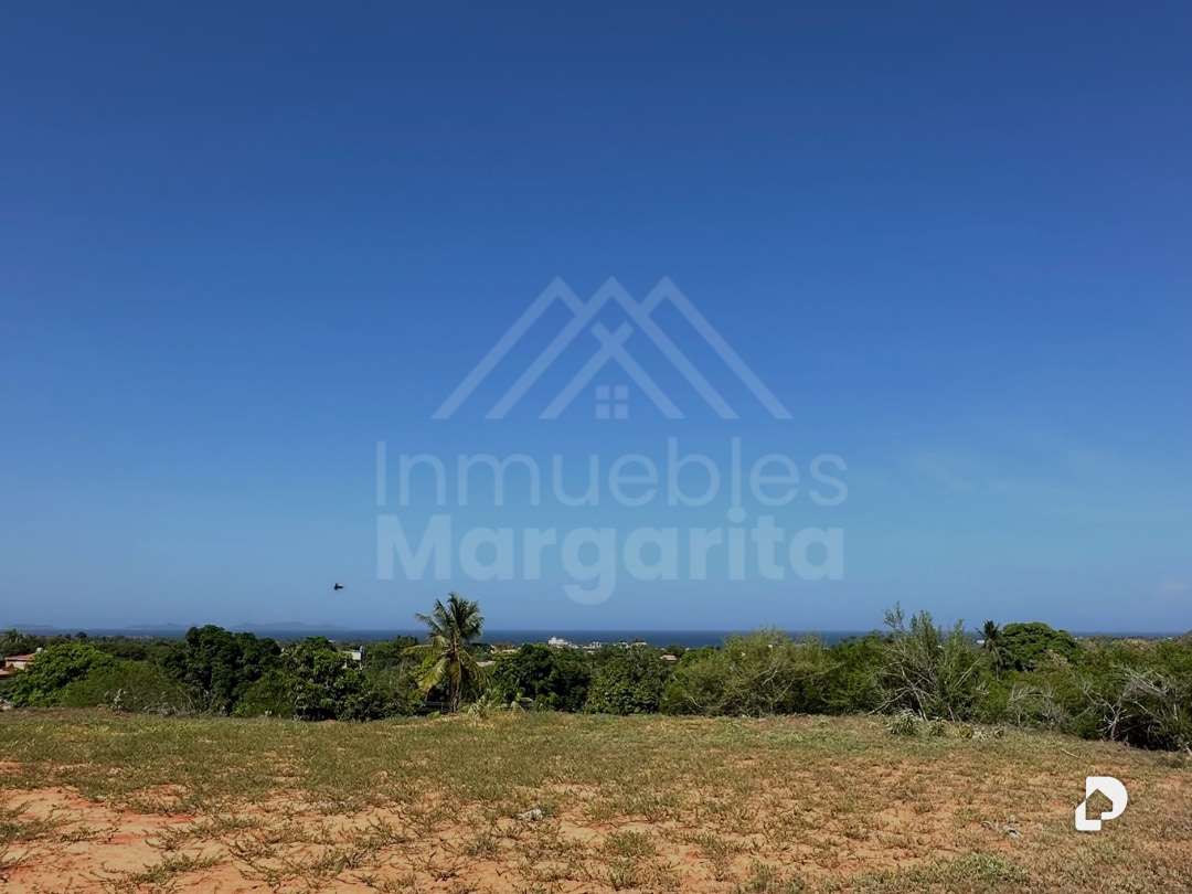 Terreno en Antolín del Campo – 2