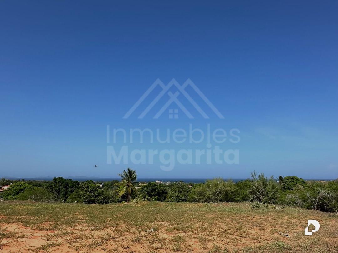 Terreno en Antolín del Campo – 2