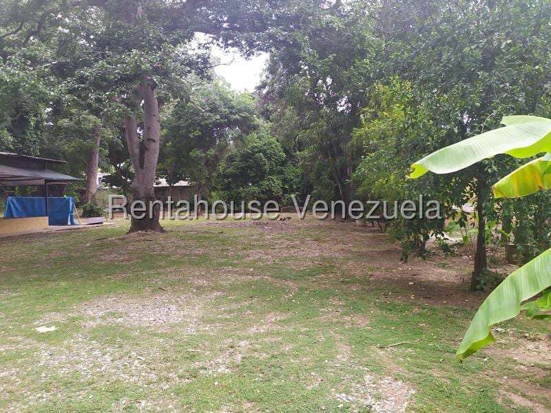 Terreno en Agua Blanca, Valencia - 1