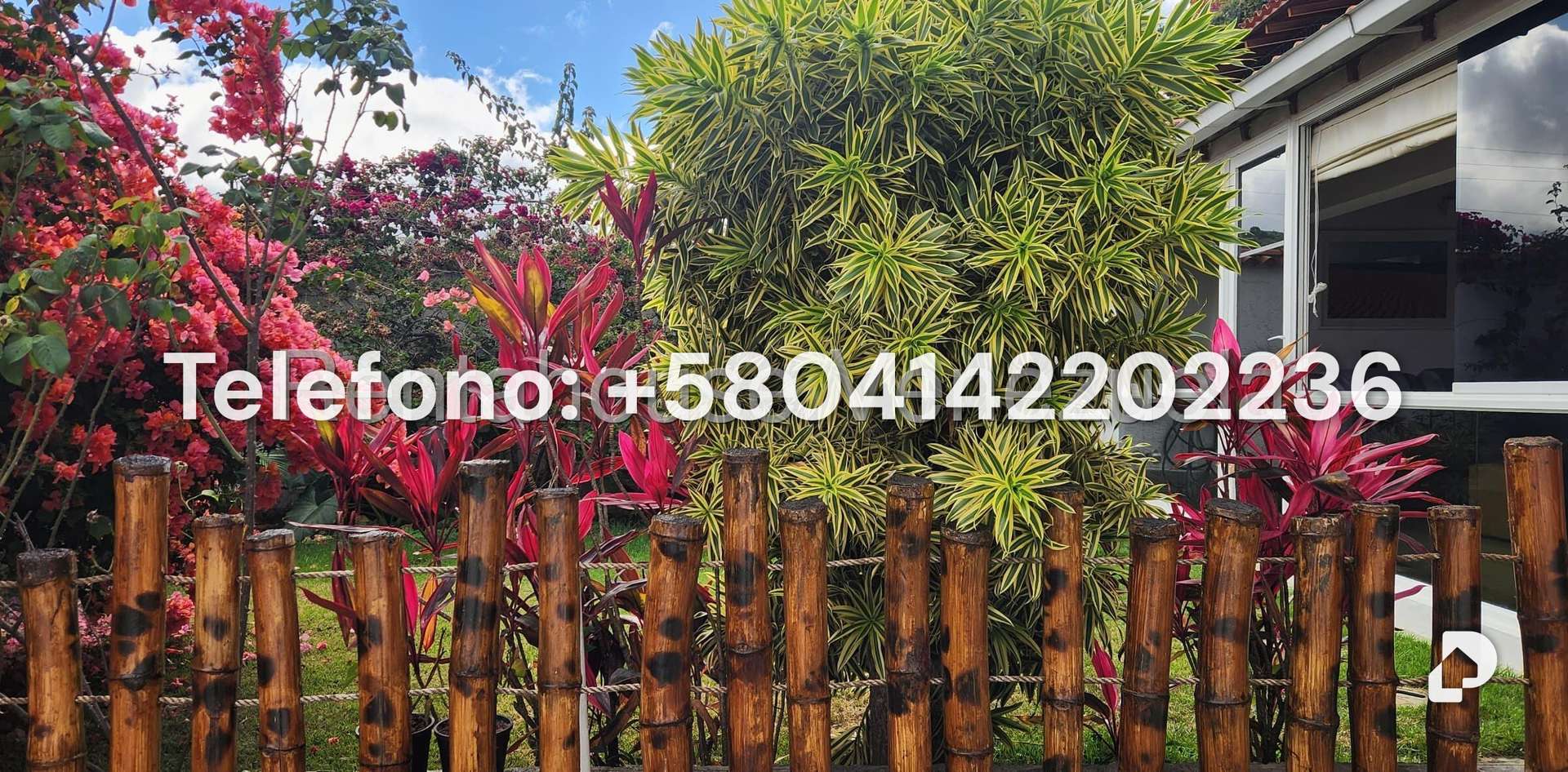Casa en Alto Prado, Caracas – 34