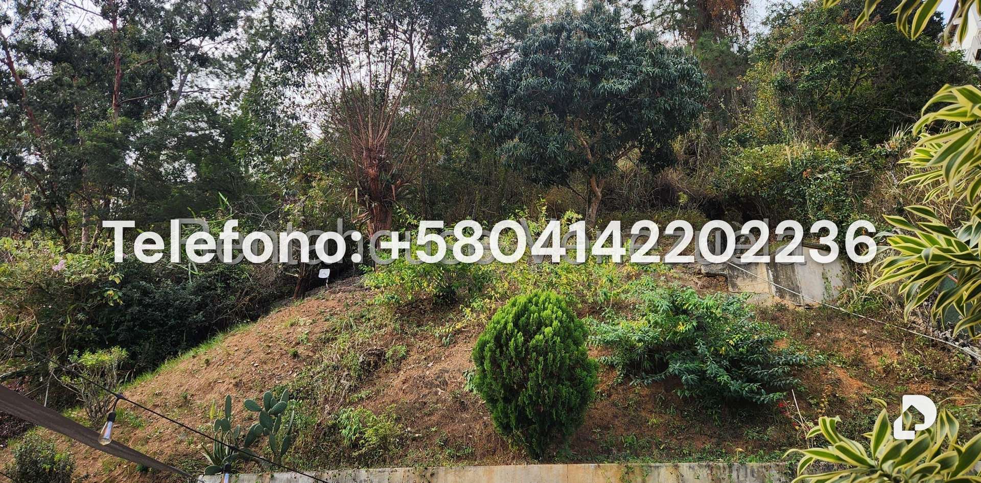 Casa en Alto Prado, Caracas – 22