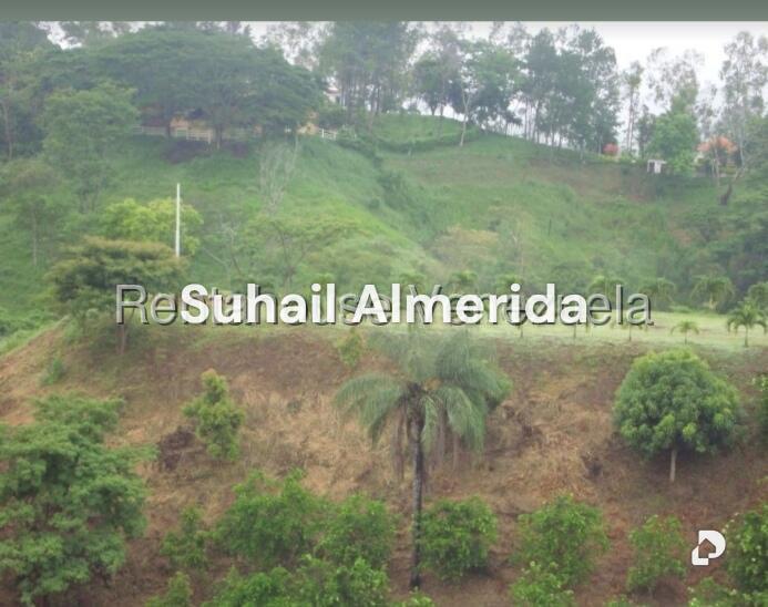 Finca en Hacienda el Naipe, Libertador – 2