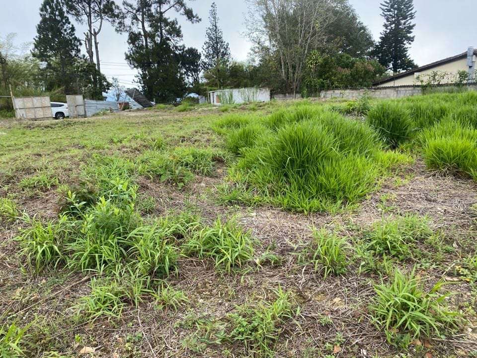 Terreno en Oripoto, Caracas - 1