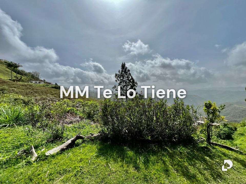 Terreno en Oripoto, Caracas – 3