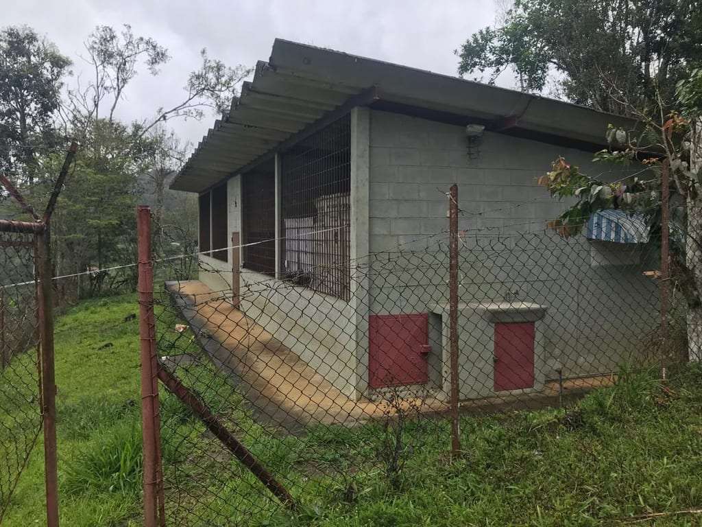 Galpón en Teresen, Caripe - 1