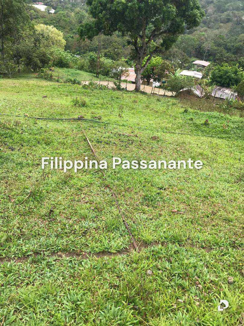 Galpón en Teresen, Caripe – 10