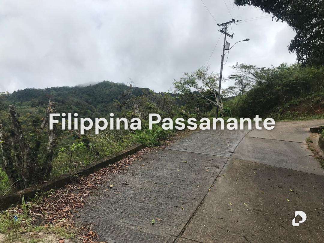 Galpón en Teresen, Caripe – 15