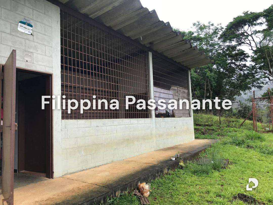 Galpón en Teresen, Caripe – 11