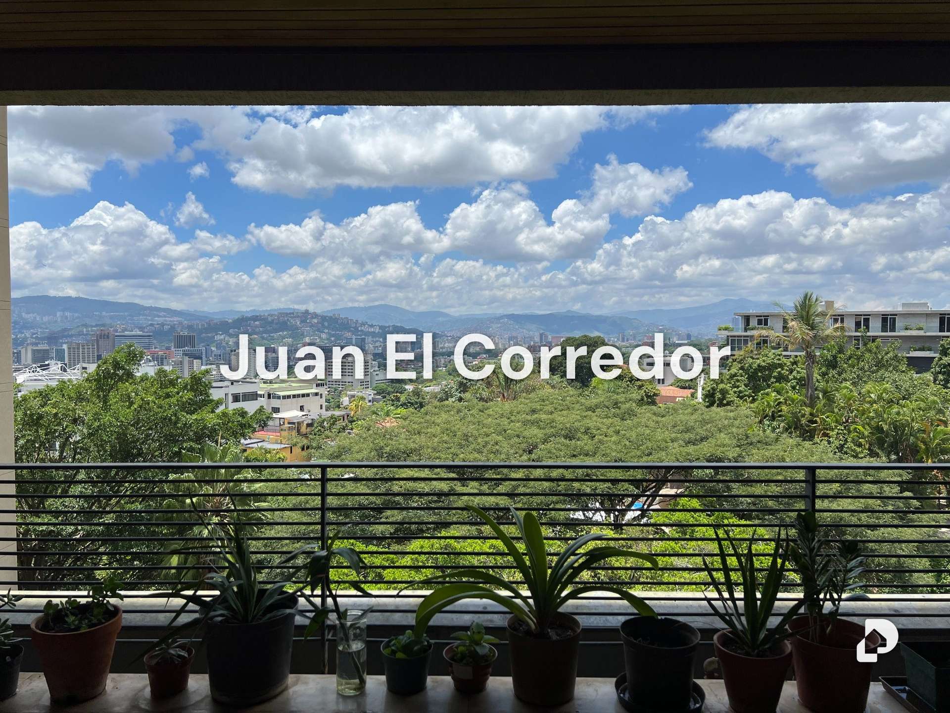 Apartamento en Los Palos Grandes, Caracas – 4