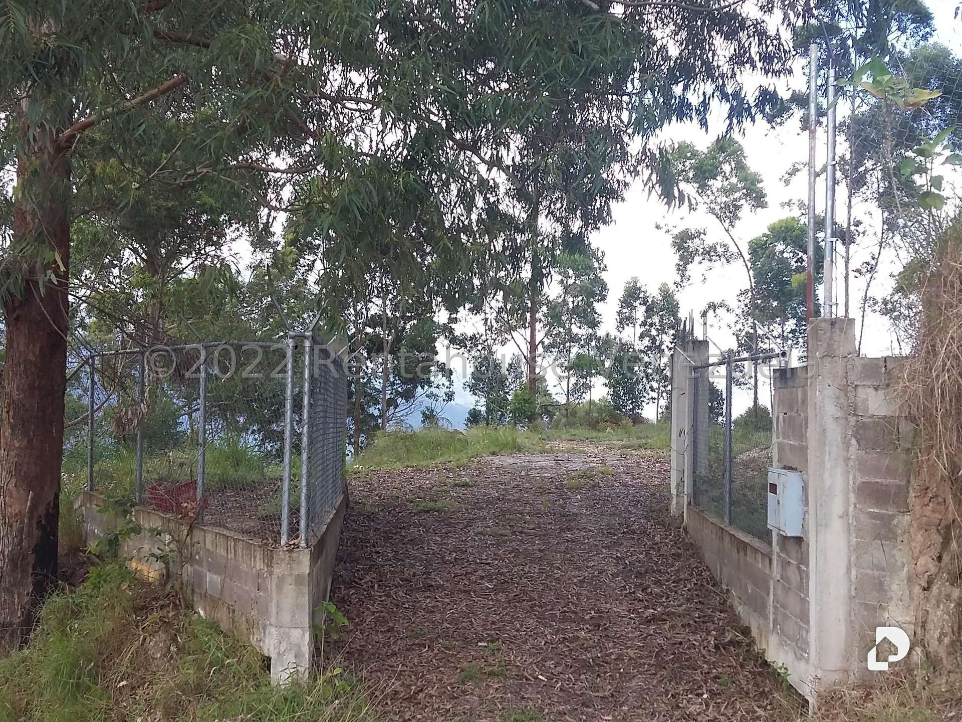 Terreno en Sector Potrero Perdido, Colonia Tovar – 1