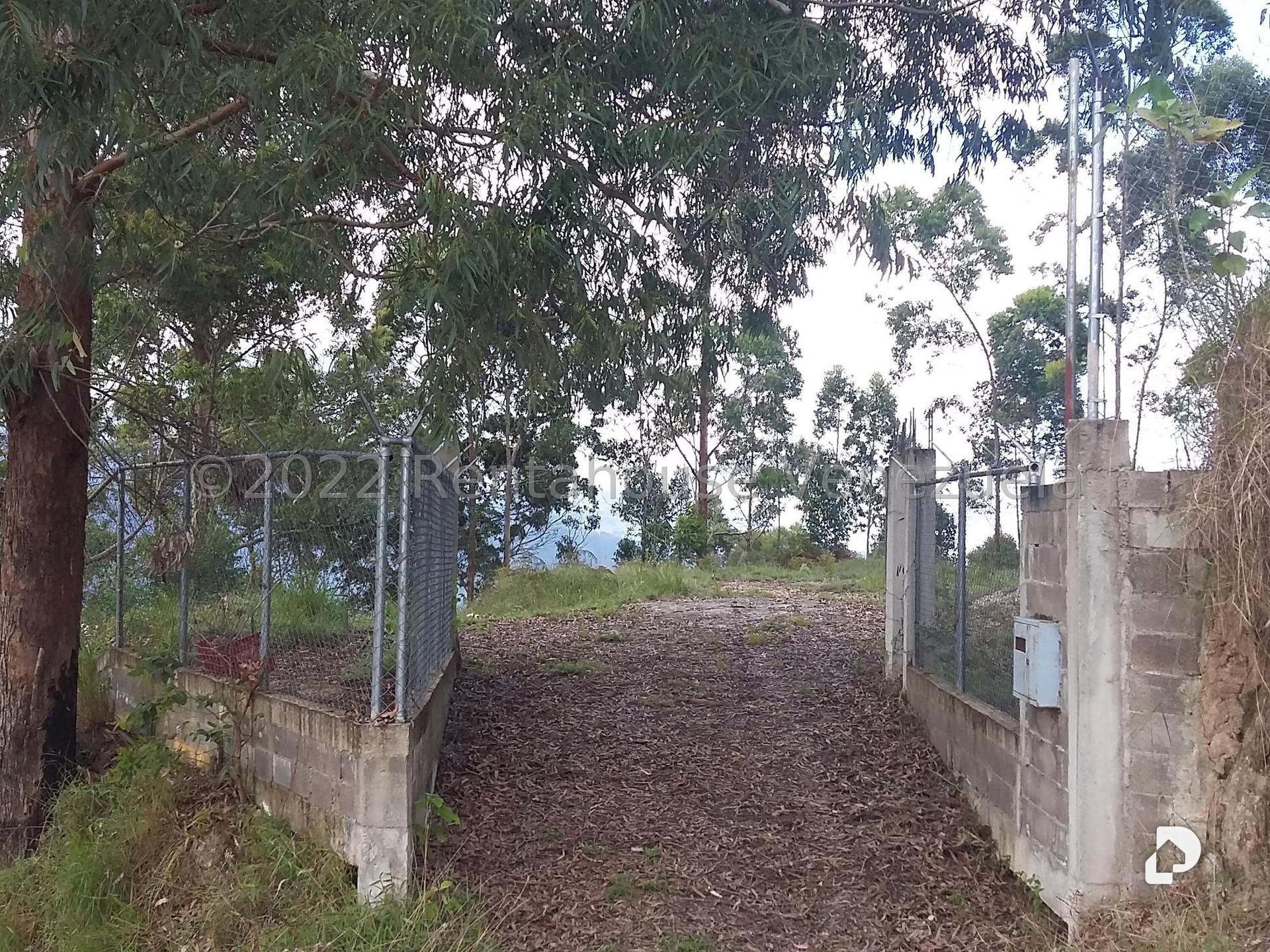 Terreno en Sector Potrero Perdido, Colonia Tovar – 1