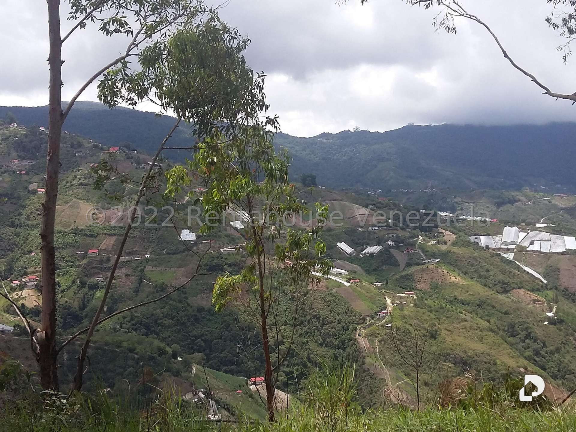 Terreno en Sector Potrero Perdido, Colonia Tovar – 14