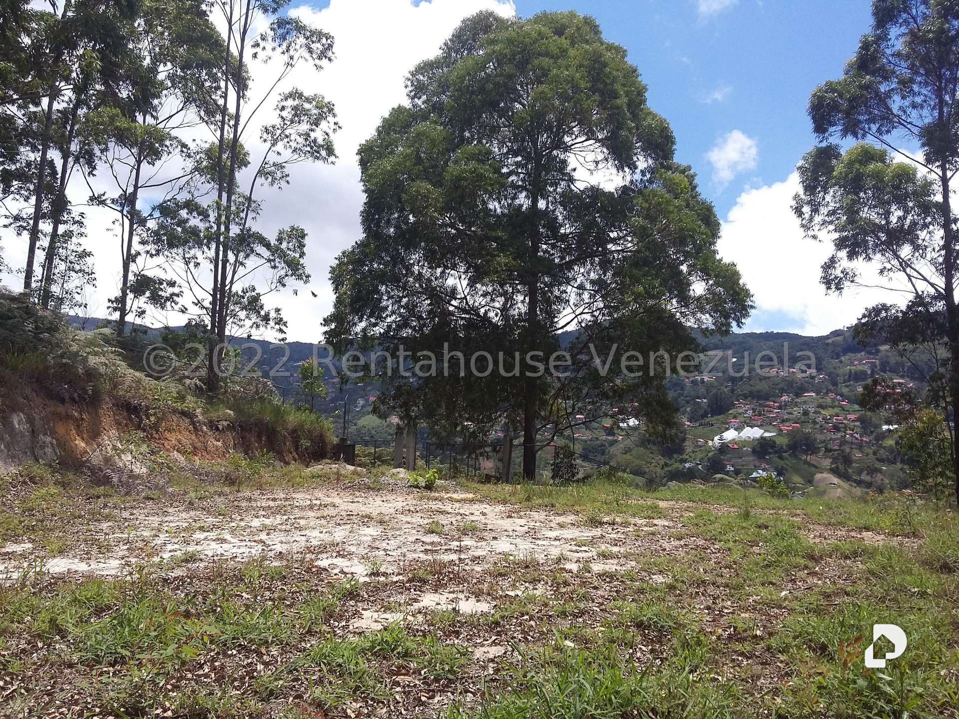 Terreno en Sector Potrero Perdido, Colonia Tovar – 7