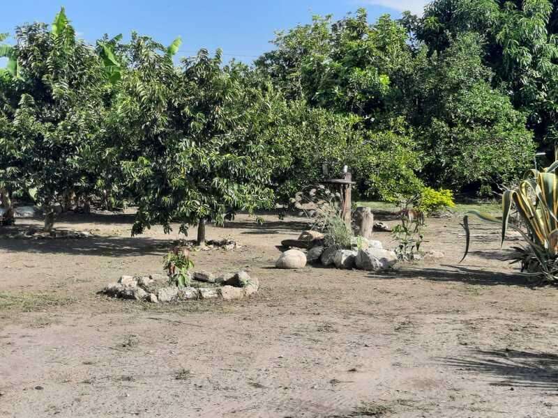 Terreno en Barquisimeto - 1
