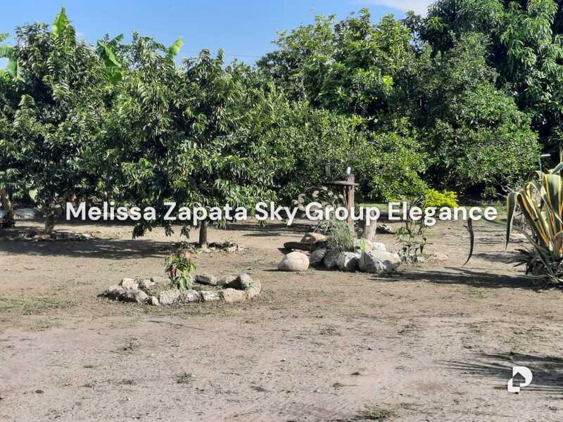 Terreno en Barquisimeto – 1