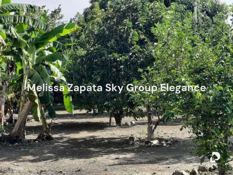 Terreno en Barquisimeto – 2