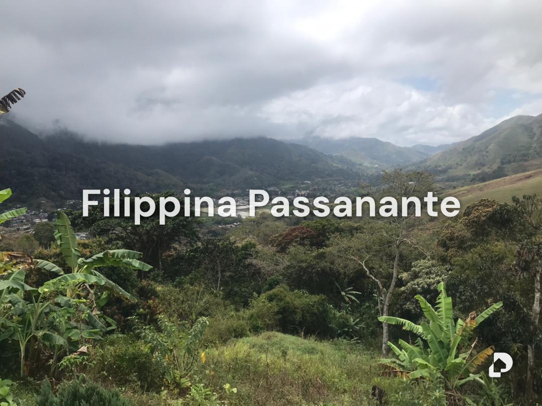 Finca en San Agustín, Caripe – 2