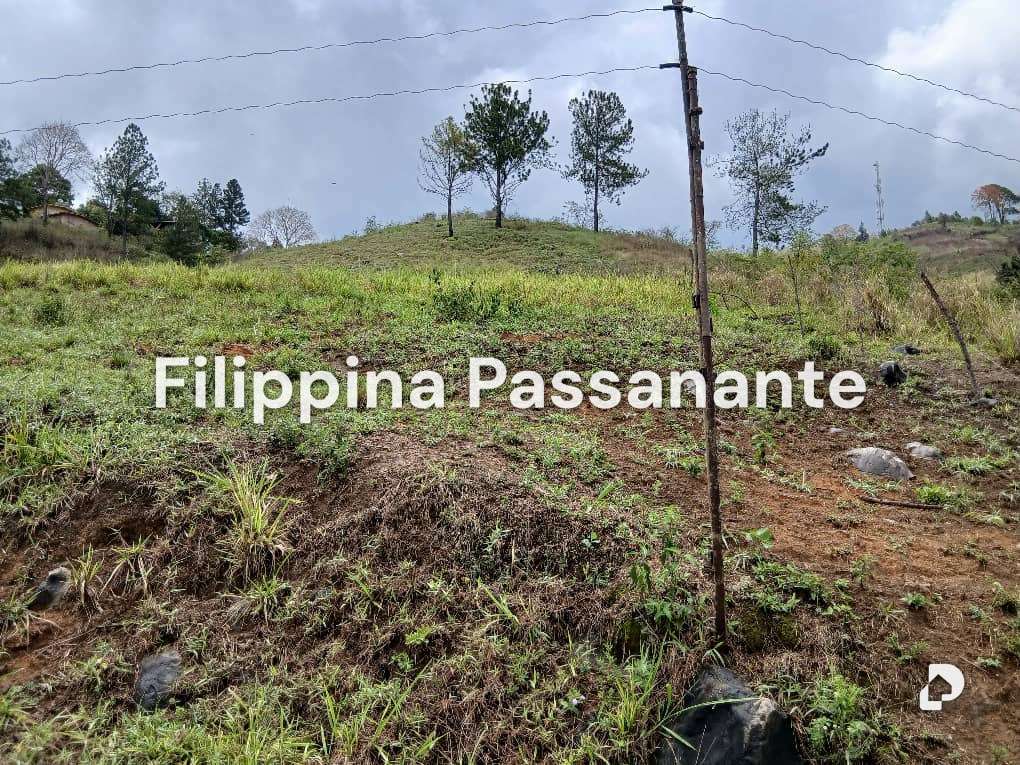 Terreno en El Copey, Caripe – 2
