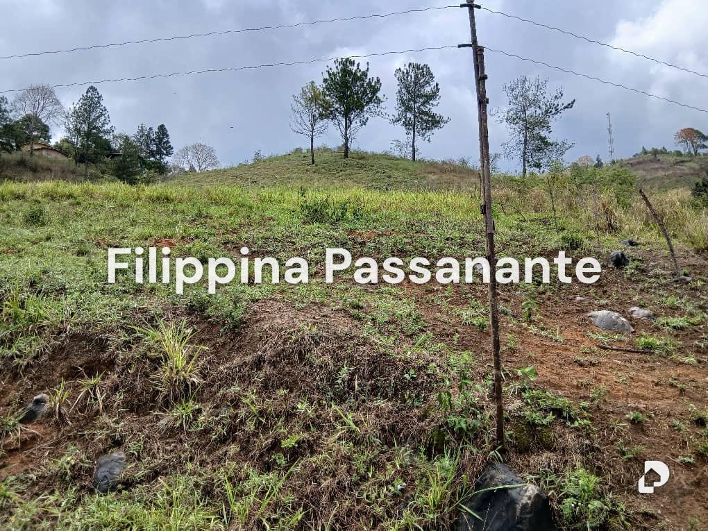 Terreno en El Copey, Caripe – 2