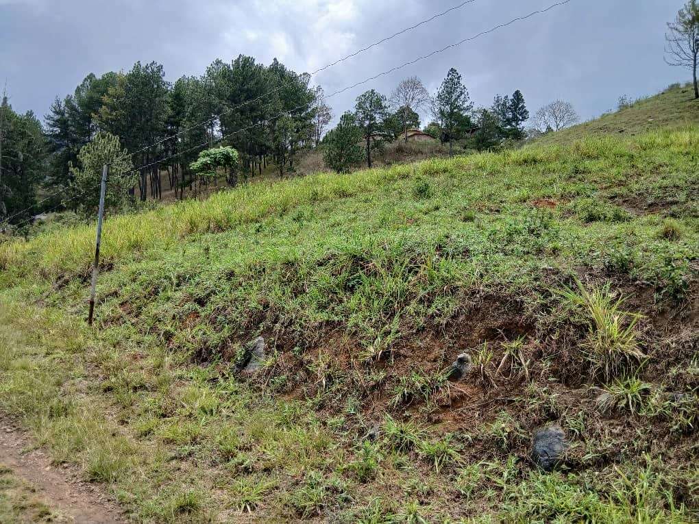 Terreno en El Copey, Caripe - 1