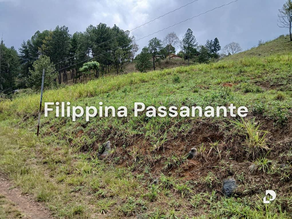 Terreno en El Copey, Caripe – 1
