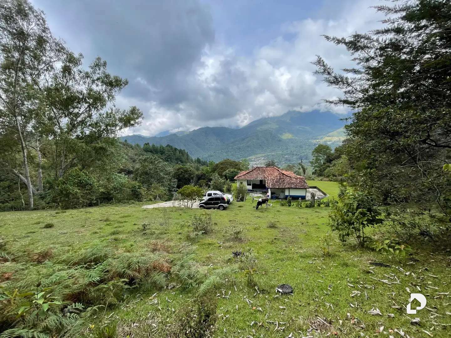 Finca en El Vallecito, sector El Alto, Gonzalo Picón Febres – 14
