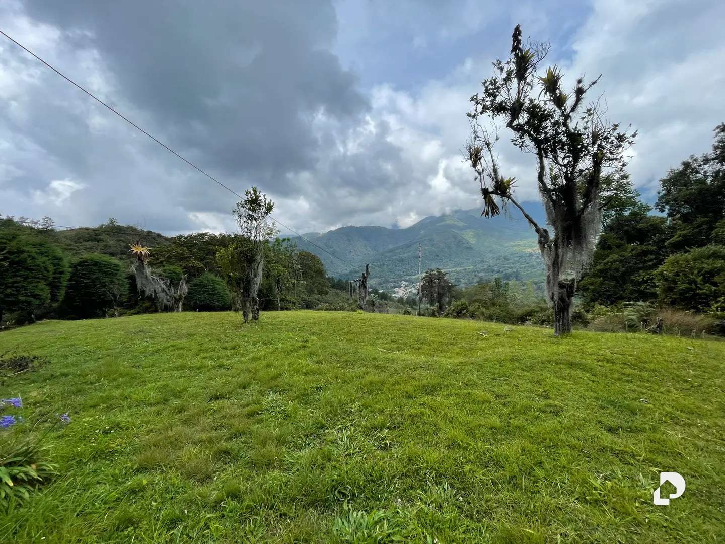 Finca en El Vallecito, sector El Alto, Gonzalo Picón Febres – 4