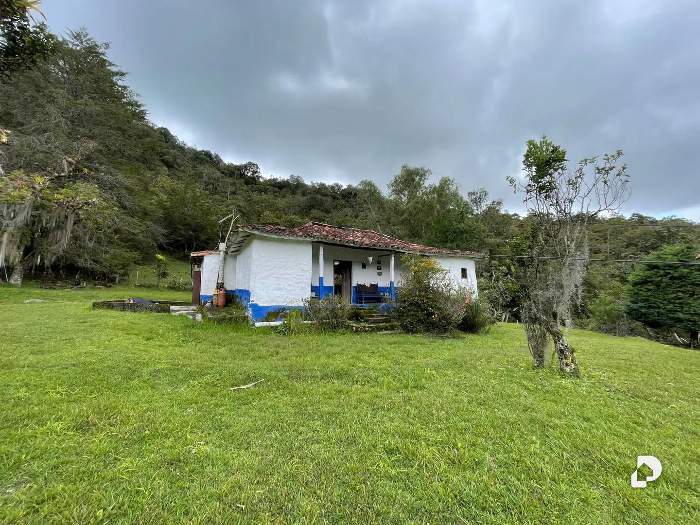 Finca en El Vallecito, sector El Alto, Gonzalo Picón Febres – 3