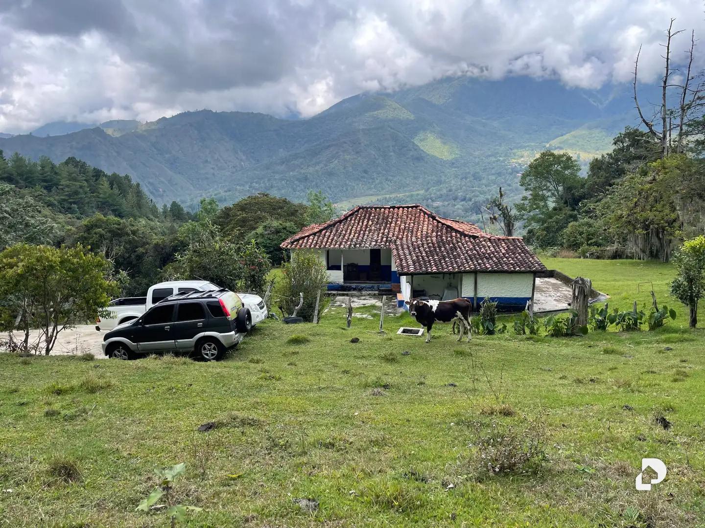Finca en El Vallecito, sector El Alto, Gonzalo Picón Febres – 1