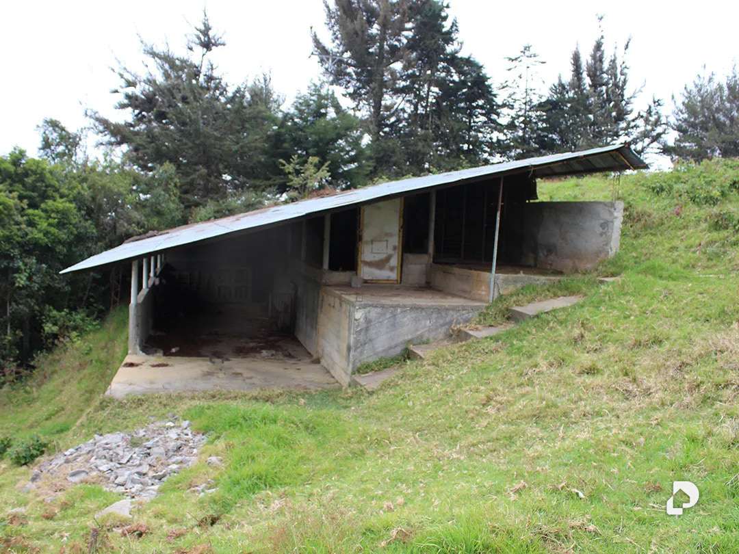 Finca en Vía Pueblos Del Sur, Los Joques – 30