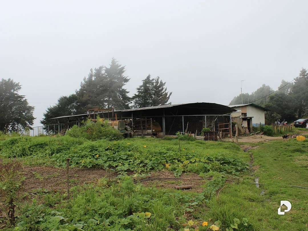 Finca en Vía Pueblos Del Sur, Los Joques – 29
