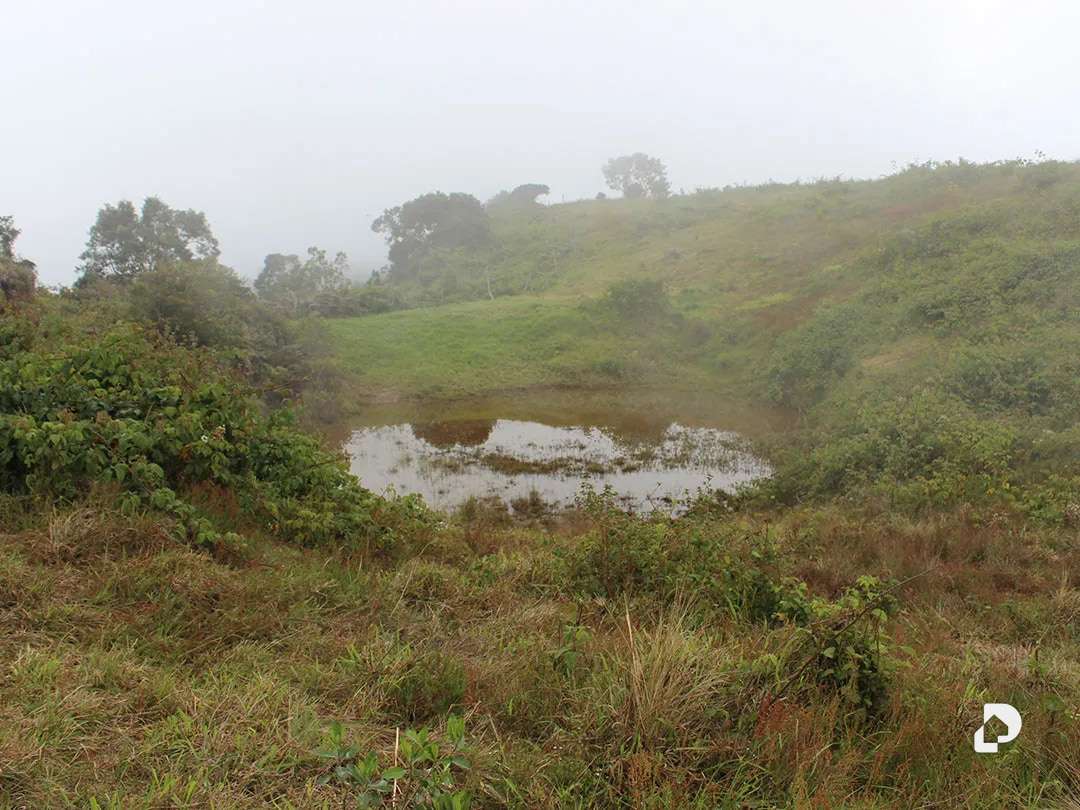 Finca en Vía Pueblos Del Sur, Los Joques – 28