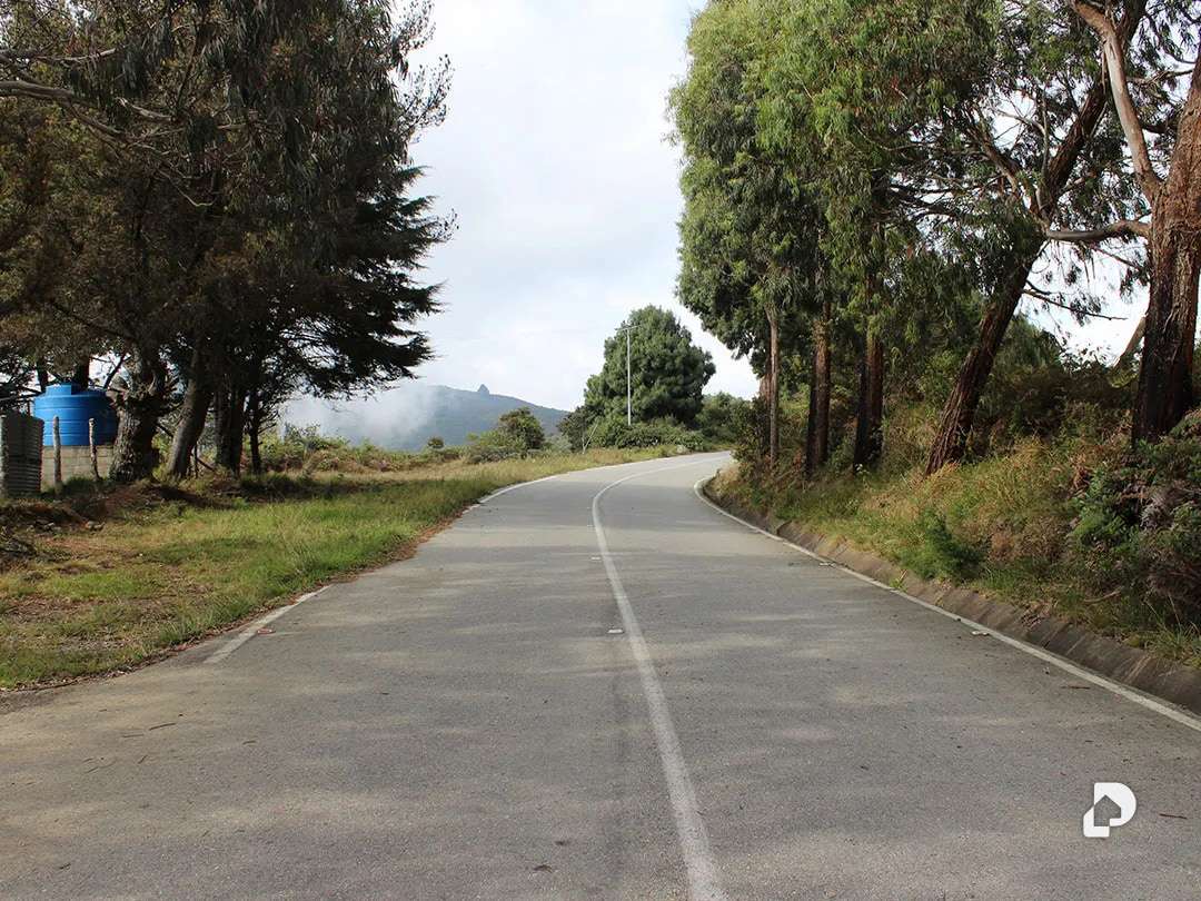 Finca en Vía Pueblos Del Sur, Los Joques – 6
