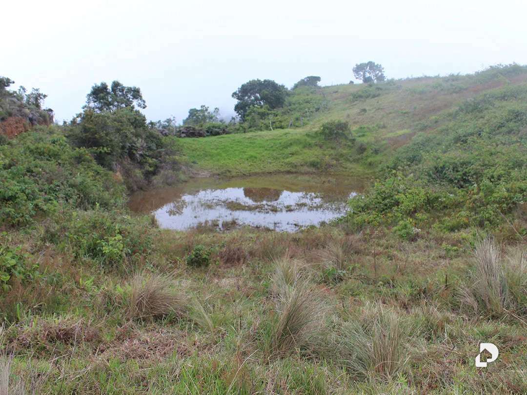 Finca en Vía Pueblos Del Sur, Los Joques – 27
