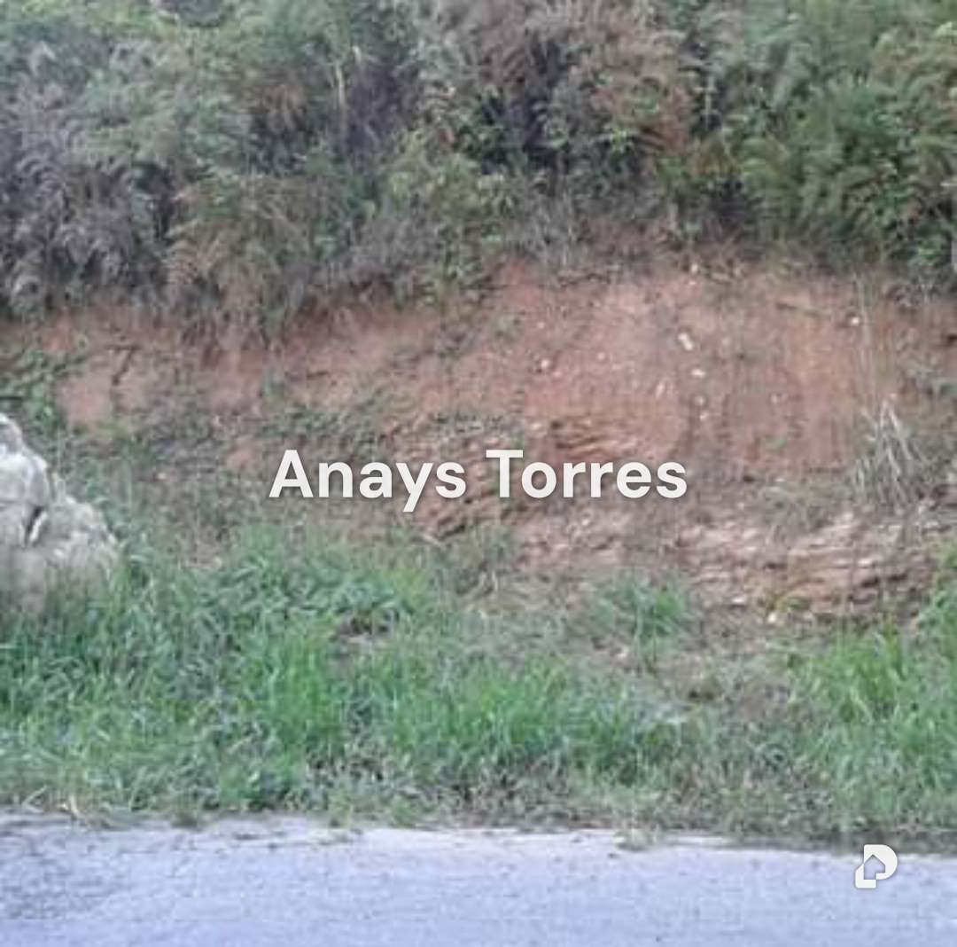 Terreno en Potrerito, Altos Mirandinos – 13