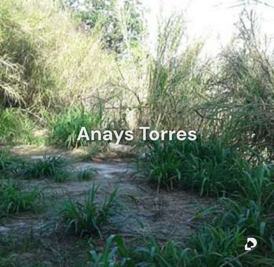 Terreno en Potrerito, Altos Mirandinos – 14