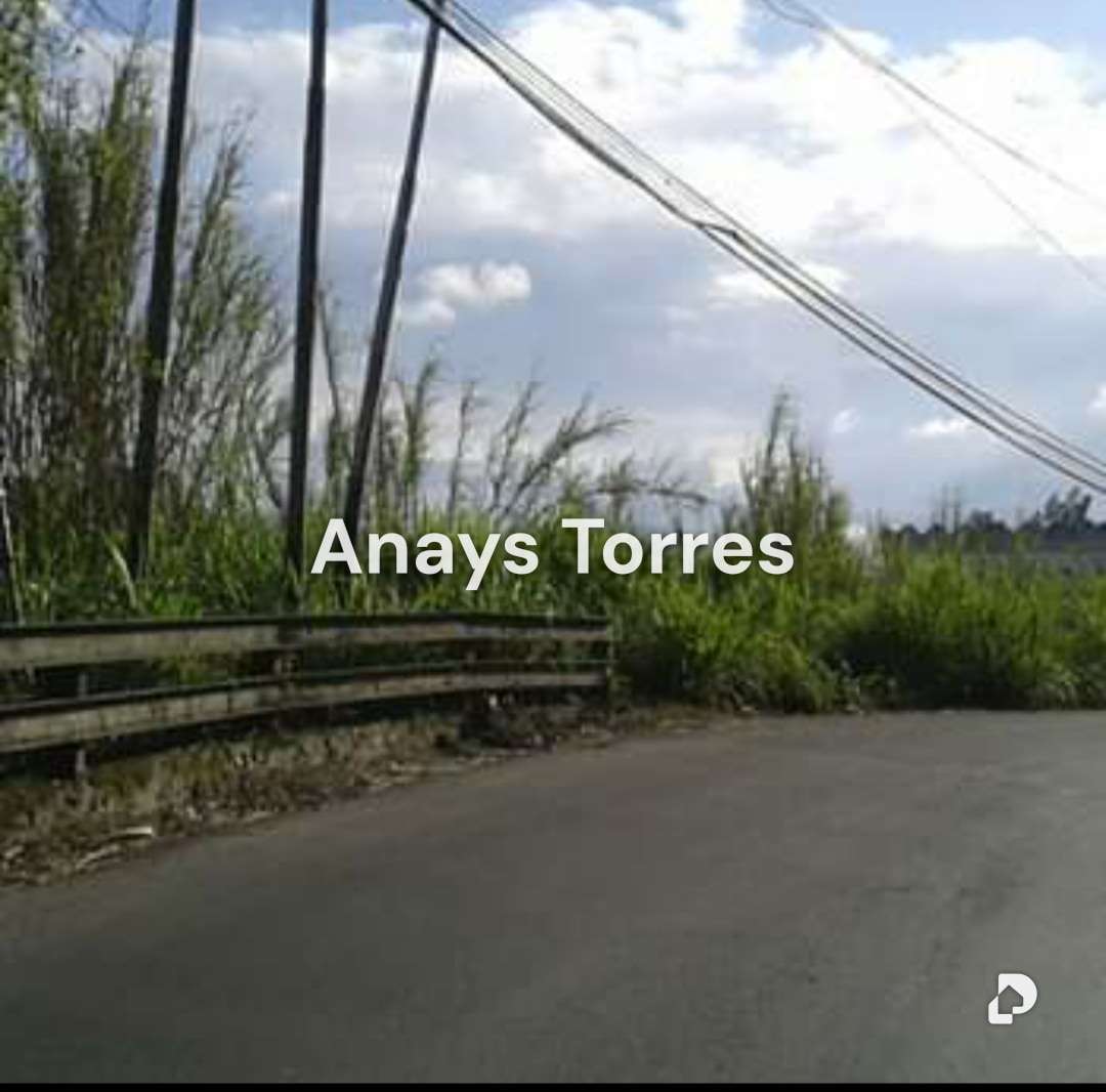 Terreno en Potrerito, Altos Mirandinos – 10