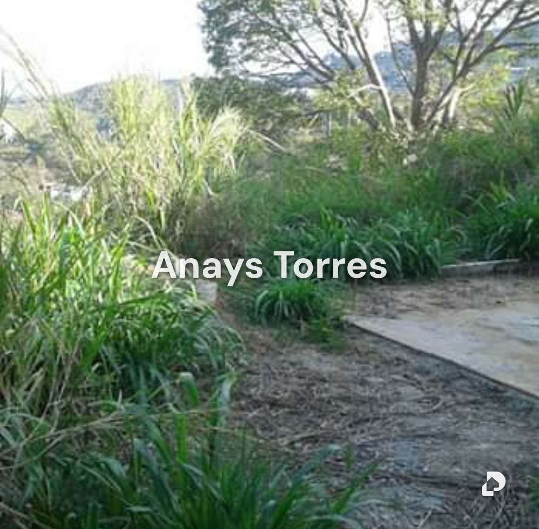 Terreno en Potrerito, Altos Mirandinos – 4
