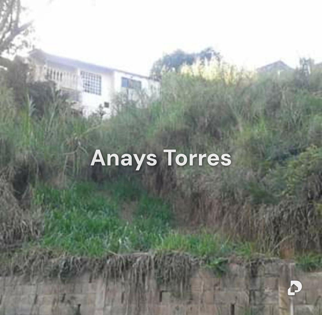 Terreno en Potrerito, Altos Mirandinos – 5