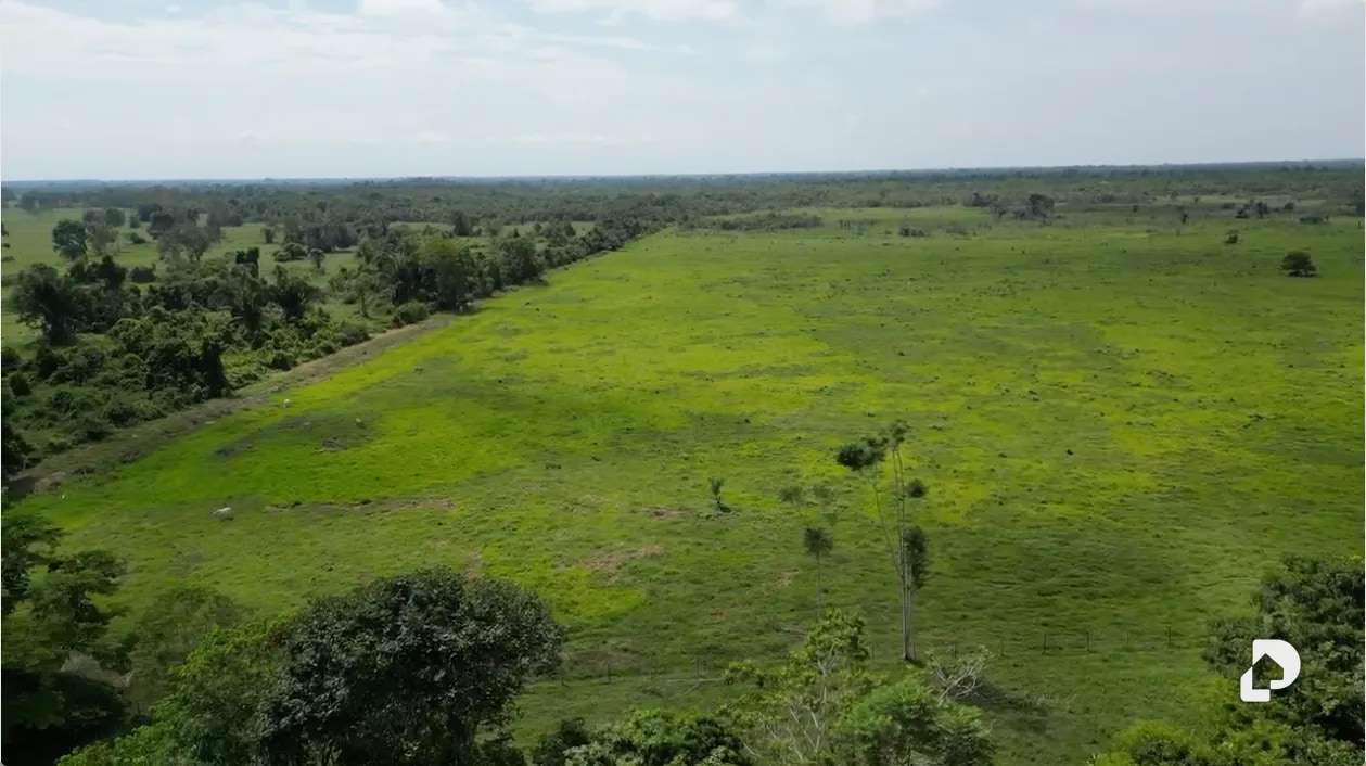 Finca en Caño Motilón, El Guayabo – 5