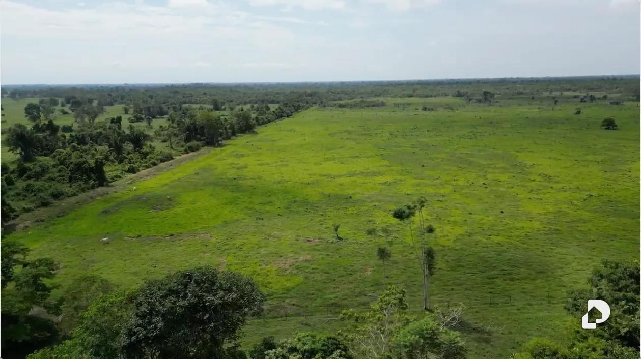 Finca en Caño Motilón, El Guayabo – 5