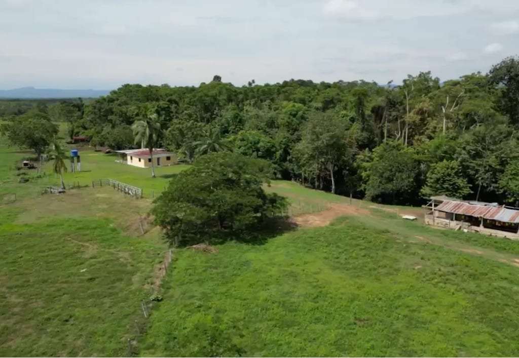Finca en Caño Motilón, El Guayabo - 1