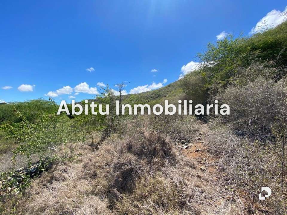 Terreno en Arismendi, Margarita (sureste) – 10