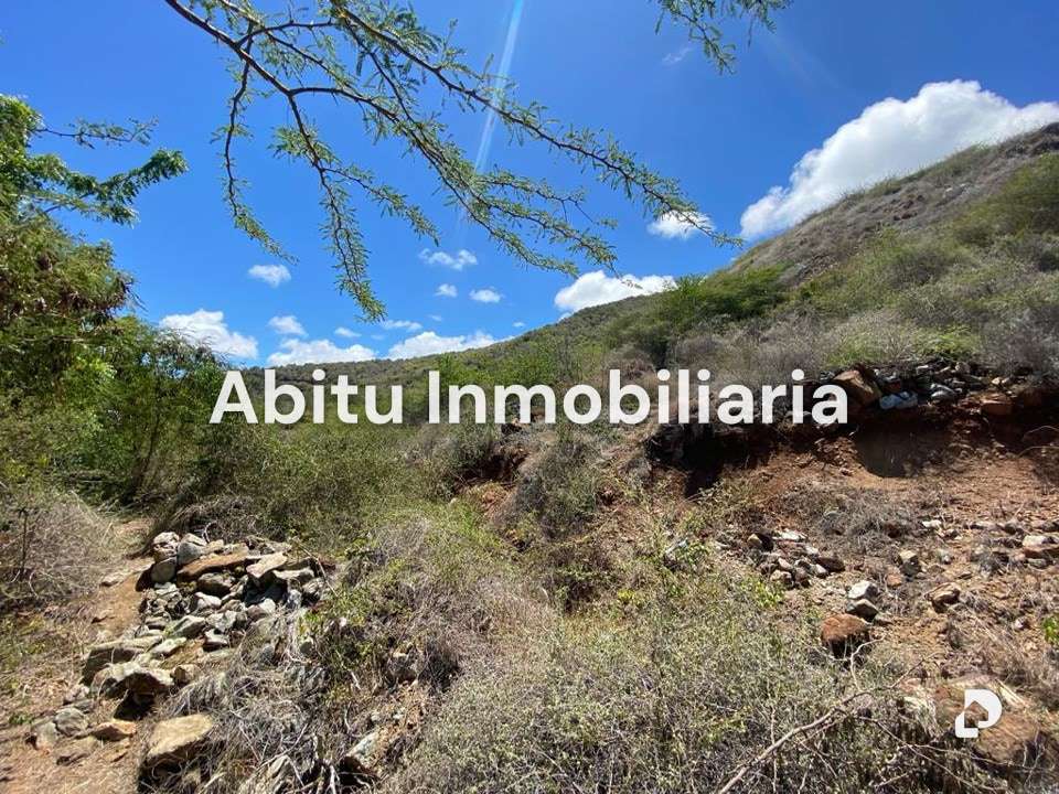 Terreno en Arismendi, Margarita (sureste) – 8