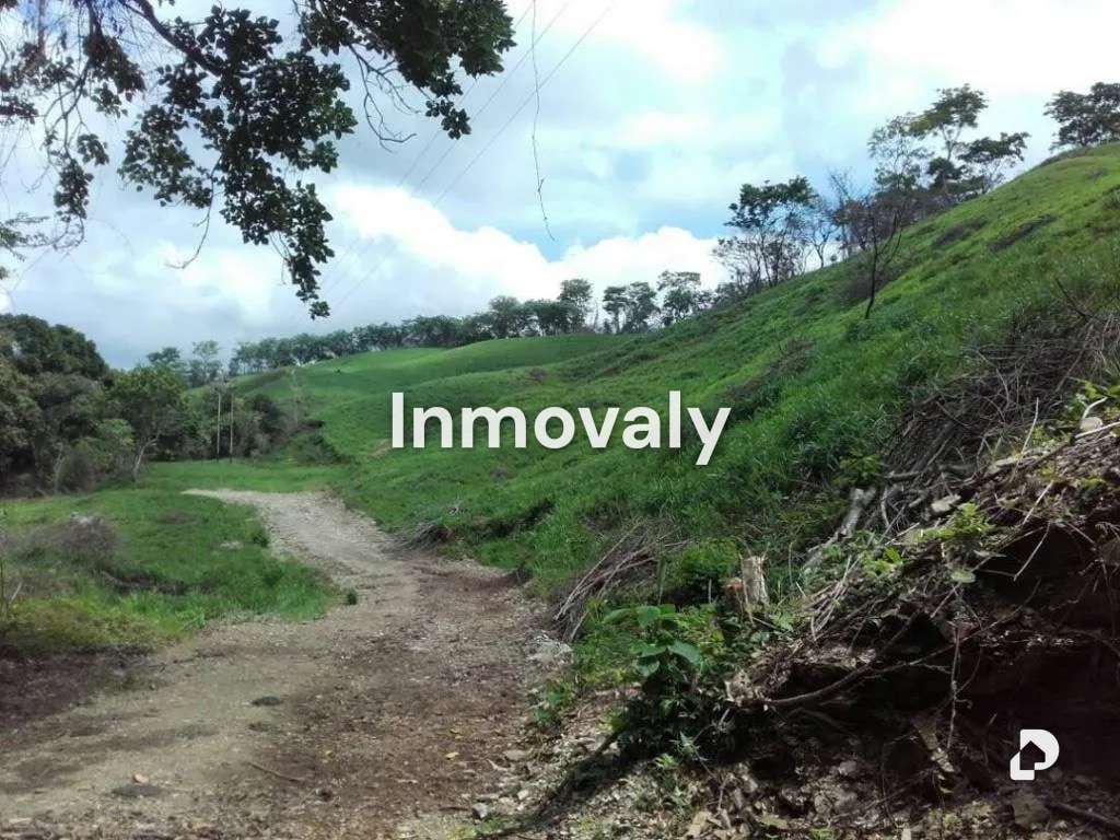Finca en Taguanes, Tinaquillo – 8
