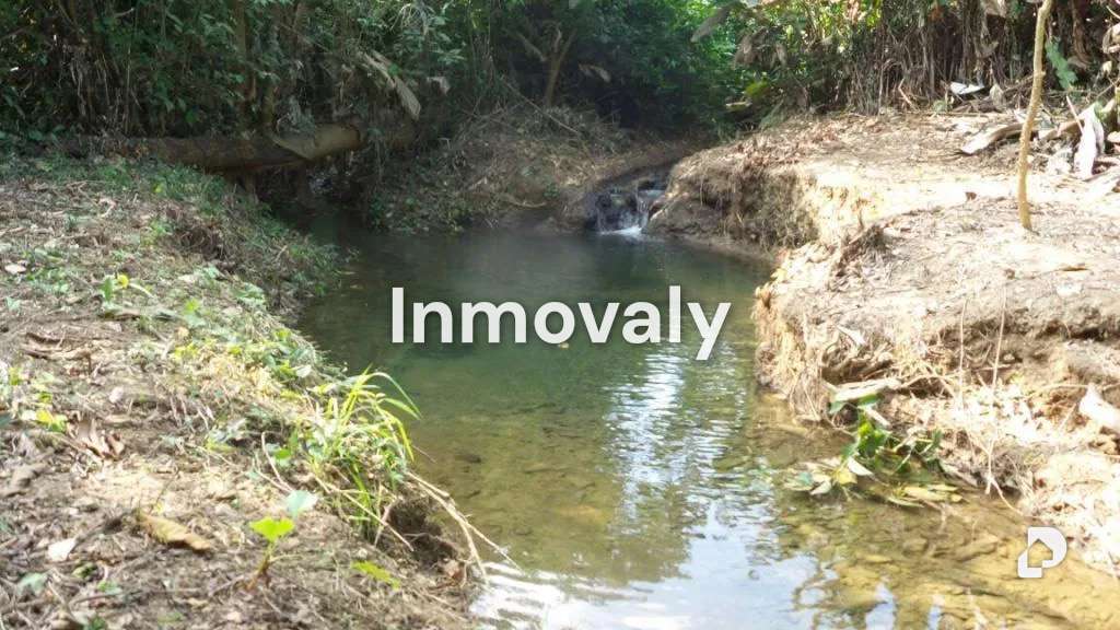 Finca en Taguanes, Tinaquillo – 6