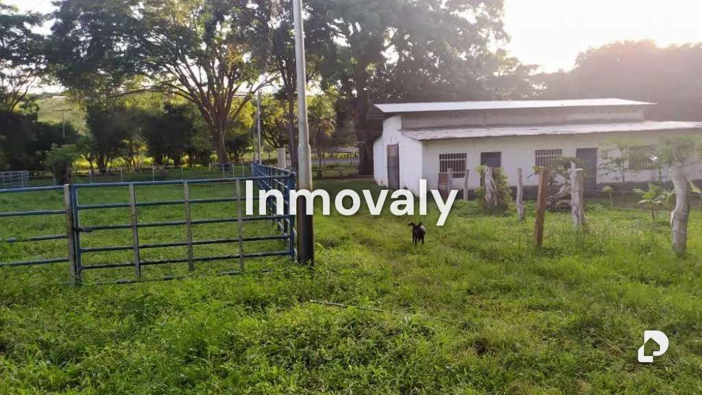 Finca en Taguanes, Tinaquillo – 2