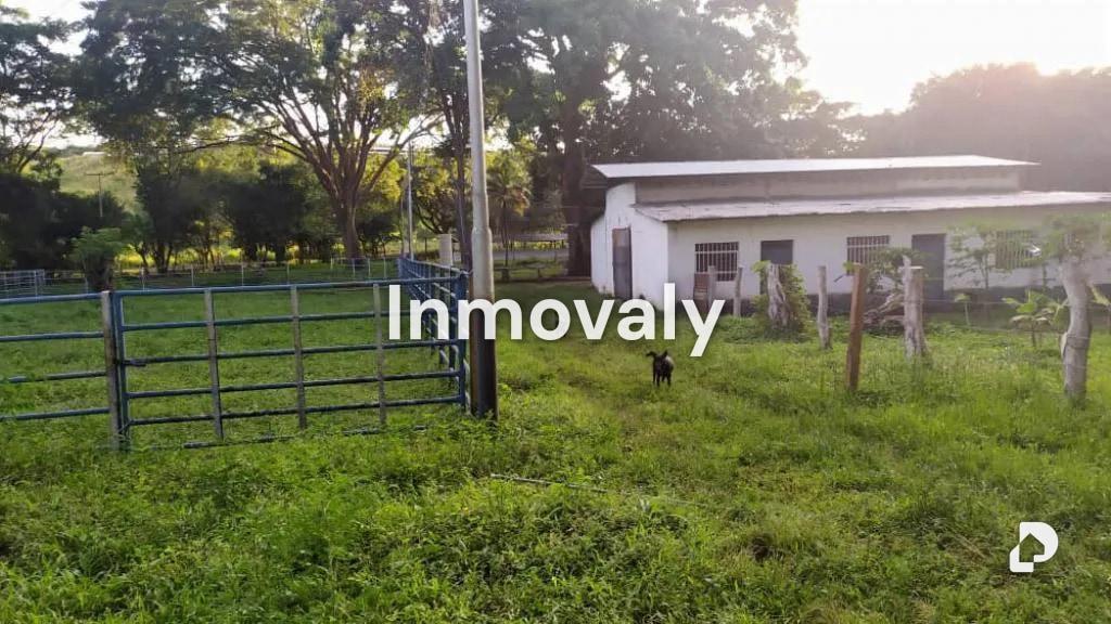 Finca en Taguanes, Tinaquillo – 2