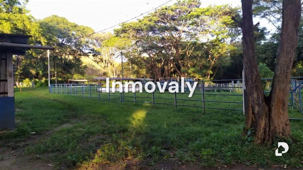 Finca en Taguanes, Tinaquillo – 4