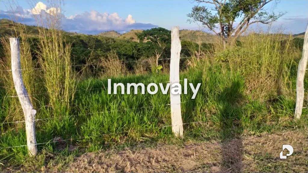 Finca en Taguanes, Tinaquillo – 5
